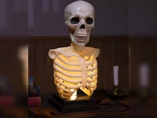 Skeleton Bust LED Light Up Skull Halloween Decor Prop Haunted House Decoration