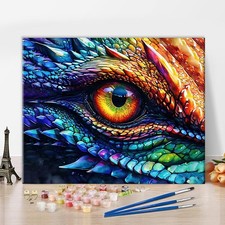 DIY Paint by Number for Adults Dragon Eye and Scales Paint by Numbers Kits for A