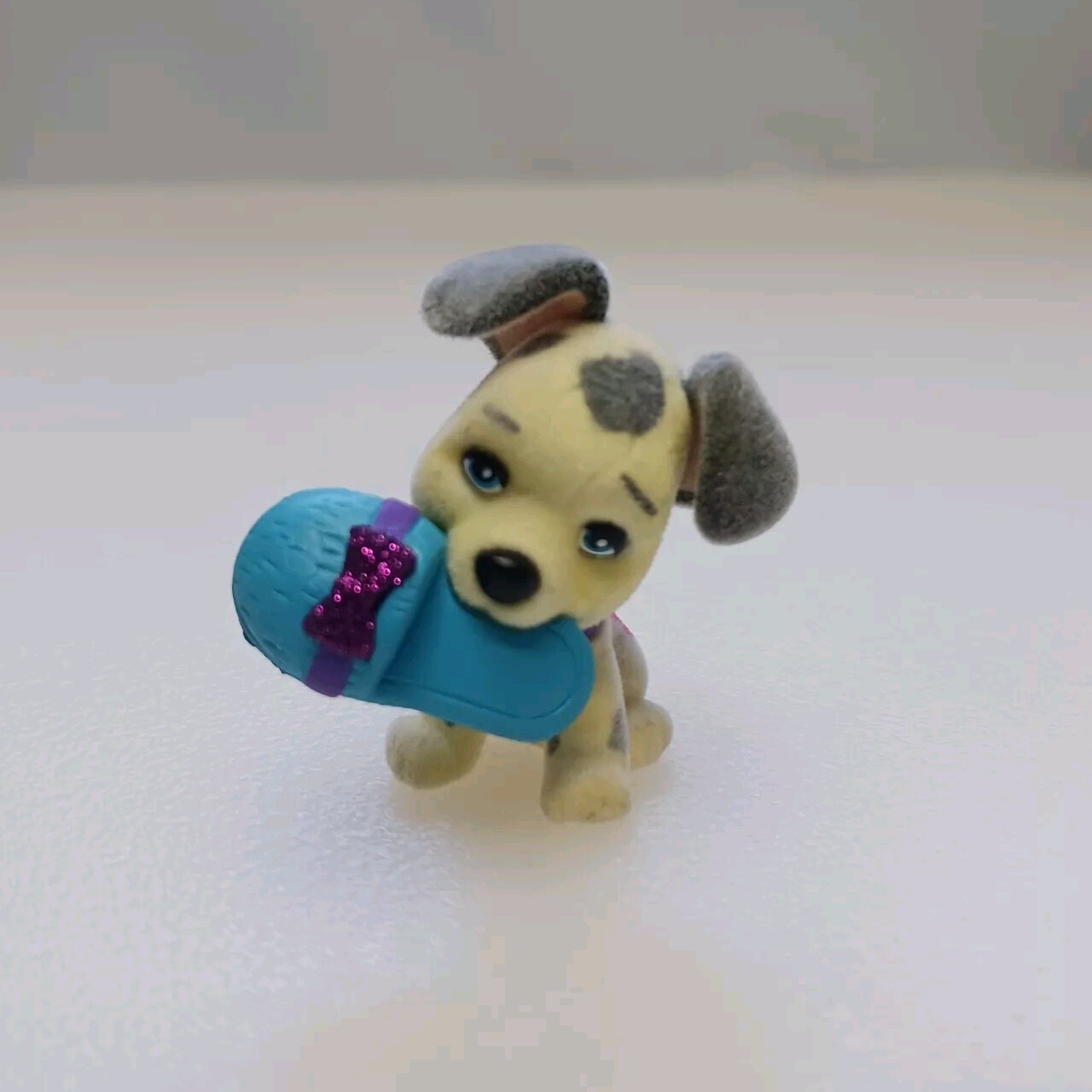 Foto 1 di 6