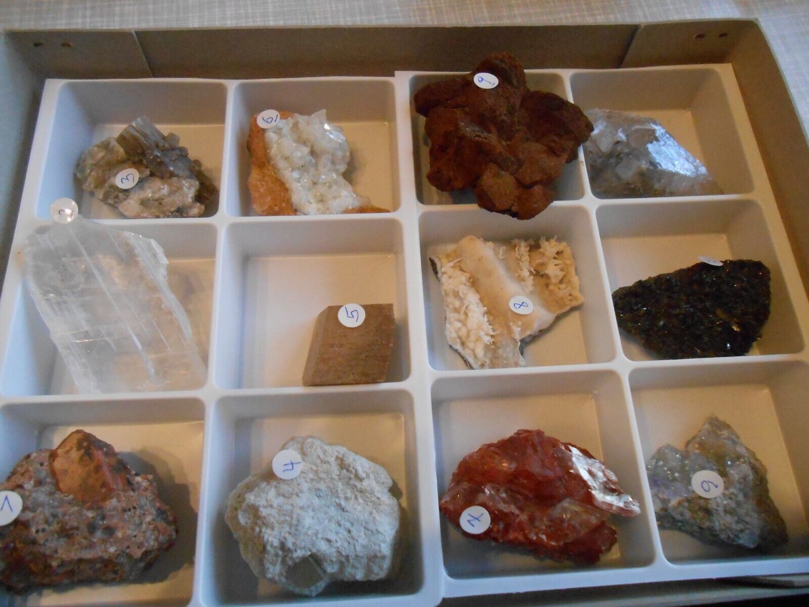 kleine Mineraliensammlung, Karton mit 12 Stk. und genaue Liste