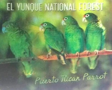 El Yunque National Forest 3D Fridge Magnet