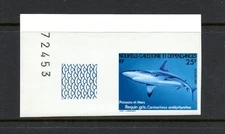R3247   New Caledonia  1981   fish  marine Grey Reef Shark   IMPERF   1v.   MNH