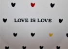 Williams Sonoma LOVE IS LOVE 7" Hearts Plates POTTERY BARN West Elm Human Rights — photo 7