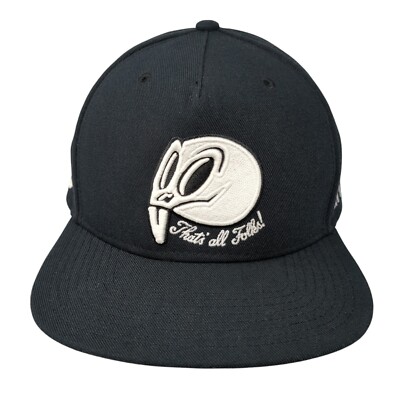 Nike Jordan Snapback Hat That's All Folks! Skull Looney Tunes