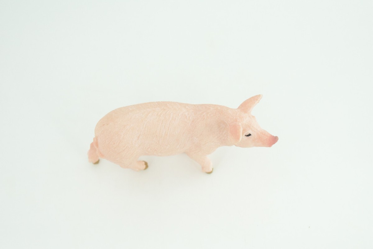 美品モデルカスタムピッグ/ Custom Pig 9'9ft