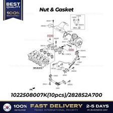 Genuine Nut Gasket For Kia Carens
