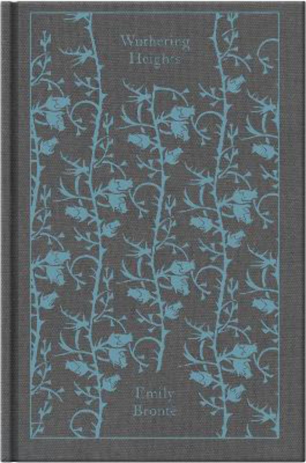 Emily Bronte: Wuthering Heights [2008] hardback
