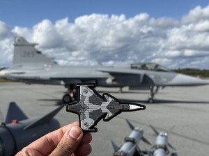 Jas-39 Gripen | eBay