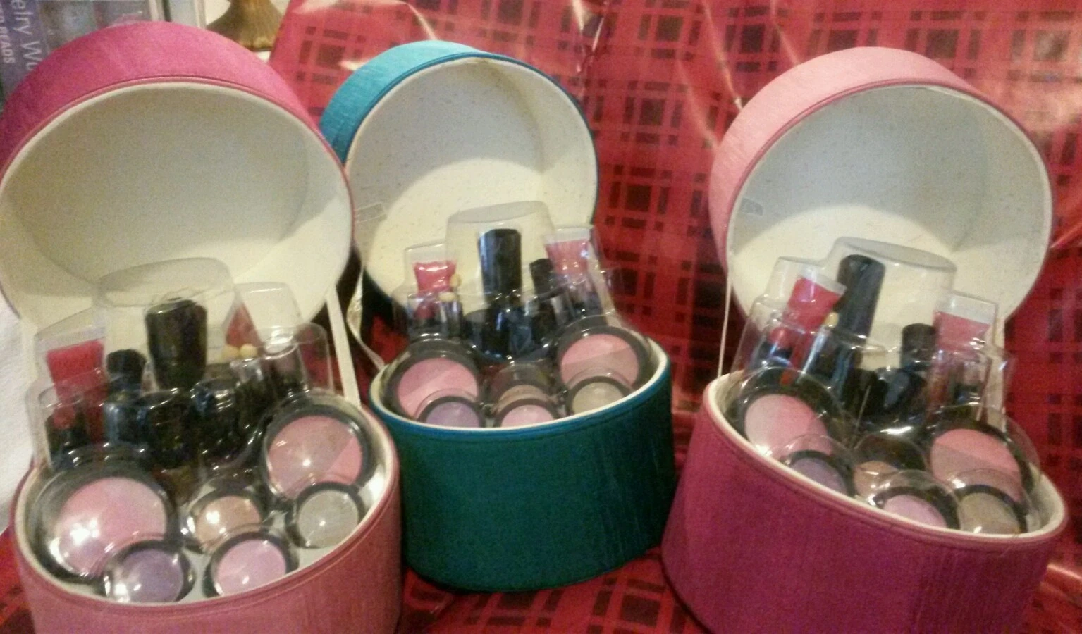 The Color Workshop Makeup Kit With Case new great for travel