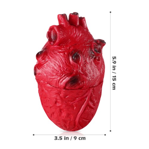 Creepy Halloween Heart Fake Prop for Pranks and Haunted Houses - Picture 6 of 11