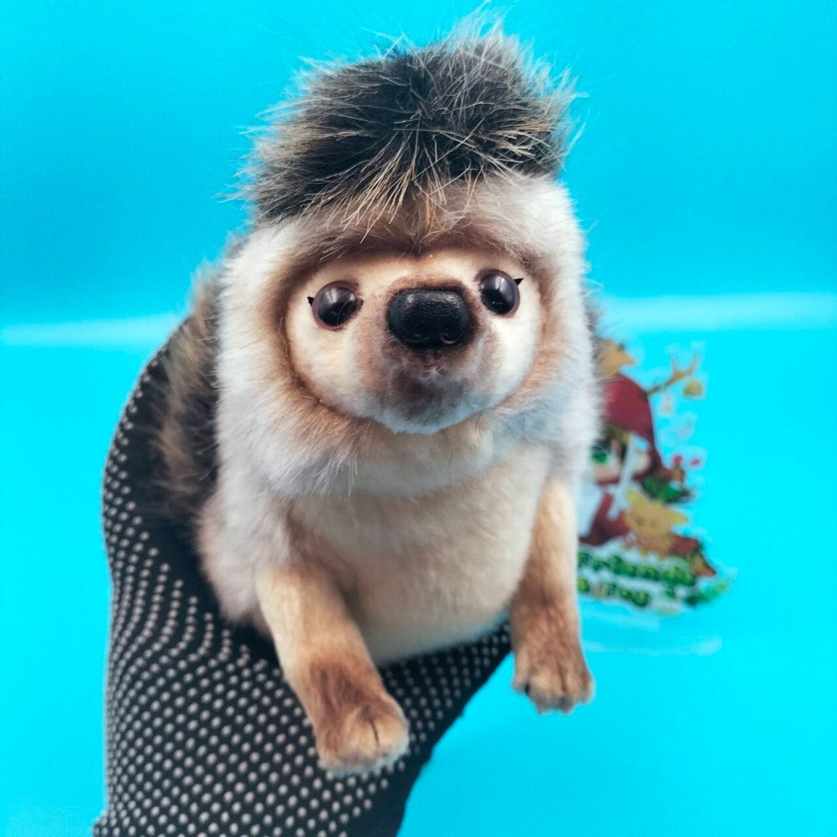 Hansa シマウマ Portraits of Nature art 26009 Portraits of Nature Hansa African Pygmy Hedgehog Animals