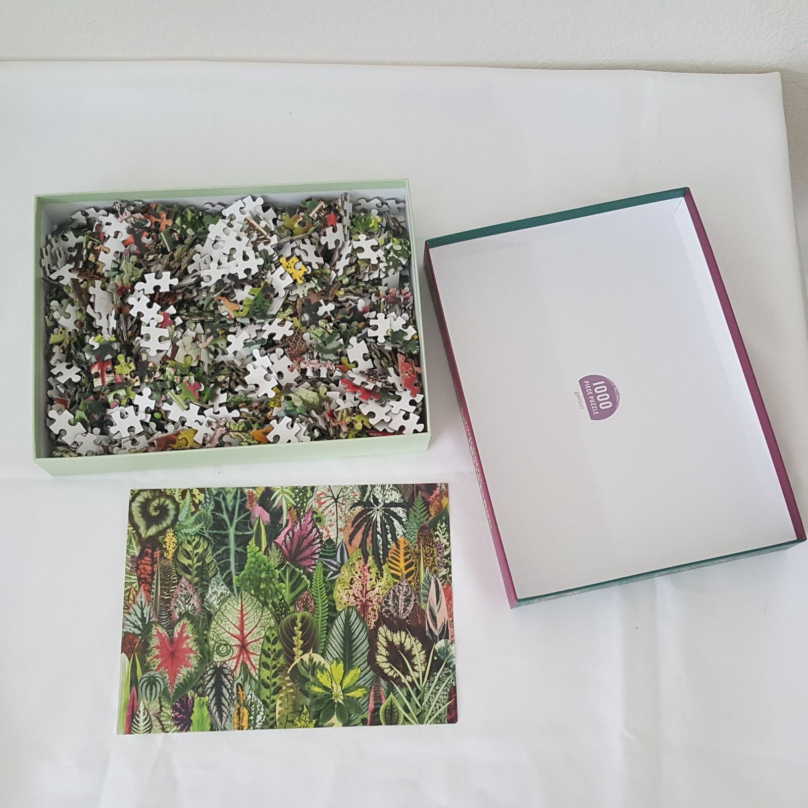 Houseplant Jungle Jigsaw Puzzle 1000 Piece Galison Puzzles 18" X 24' In Complete