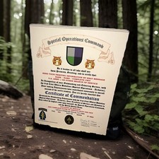 U.S. ARMY - 91ST CIVIL AFFAIRS BATTALION (ABN) - CERTIFICATE OF COMMENDATION