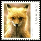 ?Canada  #2388b      "RED FOX"    Brand New  2010  Souvenir Sheet Single