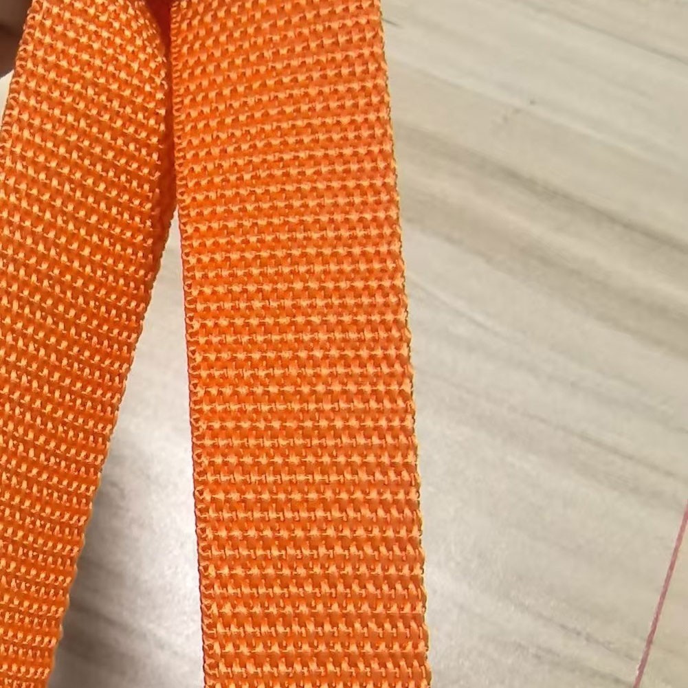 Seggiolino Auto Borsa da Viaggio Passeggino Borsa da Trasporto per Seggiolino con Impermeabile foto 6
