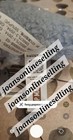Bild 12 von 14