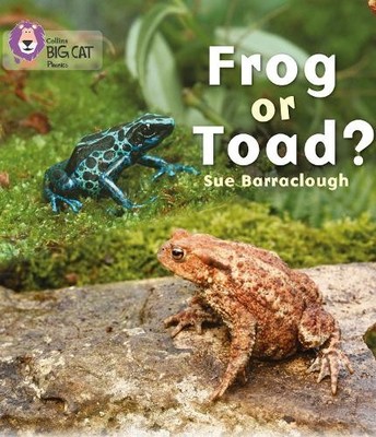 Sue Barraclough Frog or Toad? (Taschenbuch) Collins Big Cat Phonics