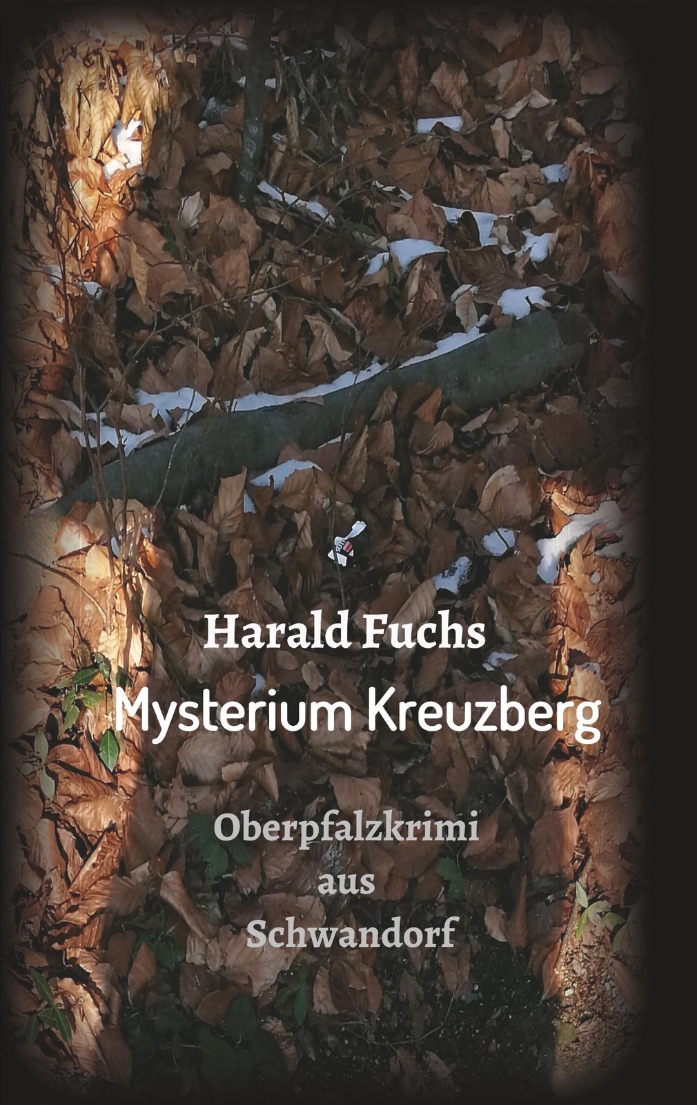 Thumbnail - Harald Fuchs | Mysterium Kreuzberg | Taschenbuch | Deutsch (2019) |