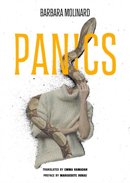 Panics by Barbara Molinard PAPERBACK 9781914391408