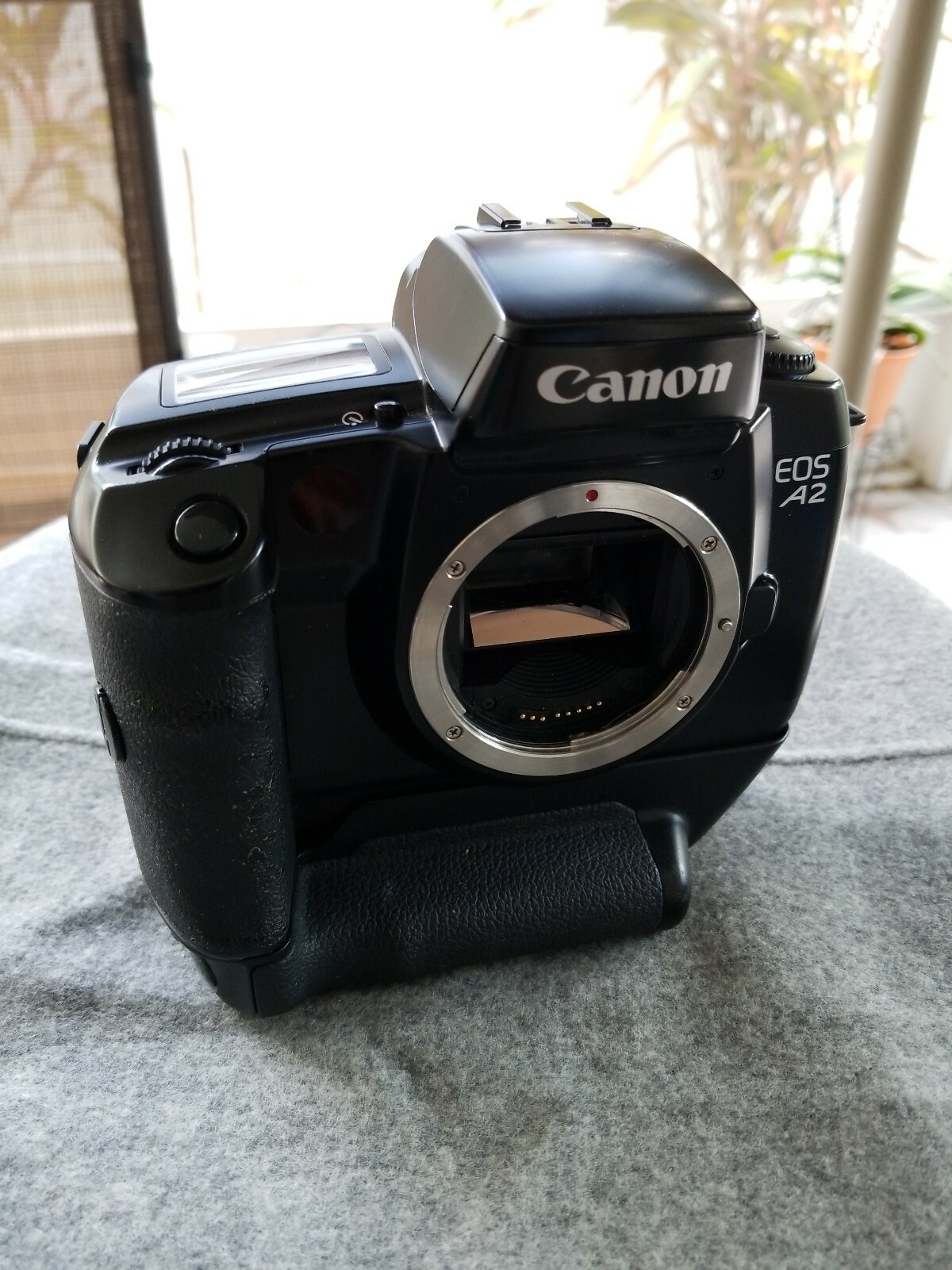 Canon EOS A2 Working Condition But Needs Battery With Power Winder eBay