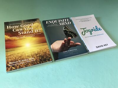 3 x Three Principles books David Key Terry Rubenstein Thomas Kelley