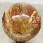 Natural Petrified Wood Polished Stone Quartz Crystal Sphere Ball Healing 2480G — photo 7