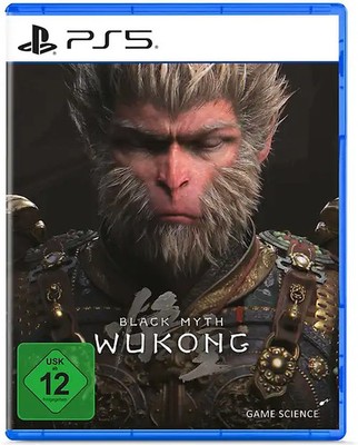 Black Myth: Wukong ZUSTAND SEHR GUT