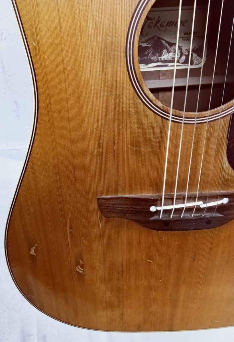 Takamine EAN10C Pro Series Dreadnought Acoustic-Electric Guitar | eBay