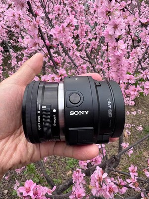 SONY Alpha QX1 ILCE QX1 20MP Digital Camera SONY E 16-50mm F/3.5