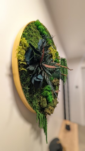 Hanging Wall Decoration with Moss - Handmade, Art , Interior Design, Plants - Picture 2 of 10