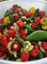 Pepper Seeds,8 Heirloom Varieties with Very Hot, Hot and Mild Seeds