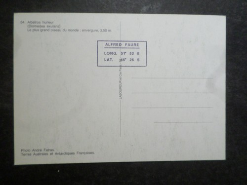 CP Postcard, Birds, Albatross Howler, Taaf , French Version Postcard - Picture 2 of 2