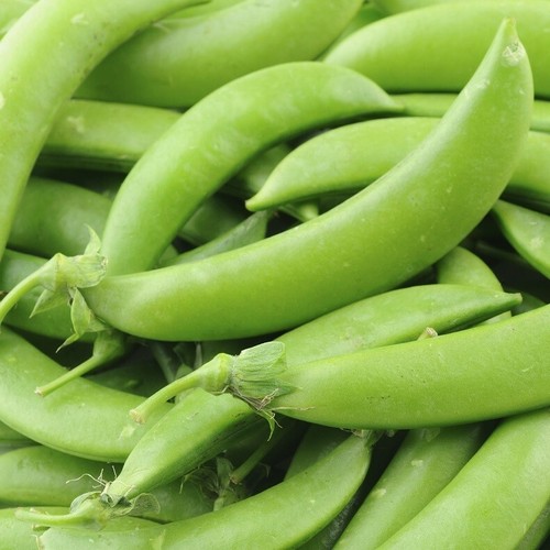 Sugar Snap Pea - Delikett - High Yielding - 30 PREMIUM FRESH SEEDS (UK)