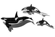 Orca Whale 3 Piece Family Porcelain Swimming Pool Mosaic with Shadows