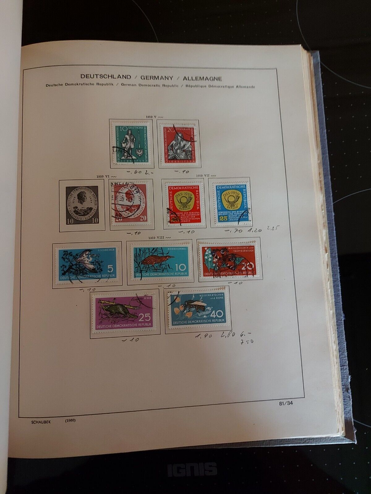Bild 19 von 24