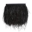 Natural Ostrich Feather Fringe Trim - Feathers Sewing Crafts Decor for Dress .