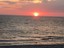 gulfshorefinds