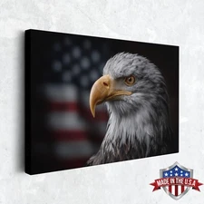 Eyes of Liberty Wall Art, Canvas Print for Home Decor, Wall Decor Art Poster