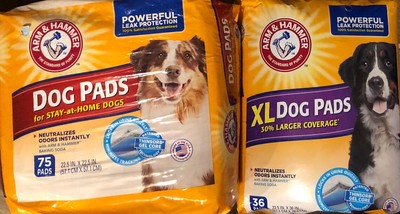 arm and hammer xl dog pads