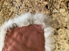 Silver Fox Stole/Shawl — photo 10
