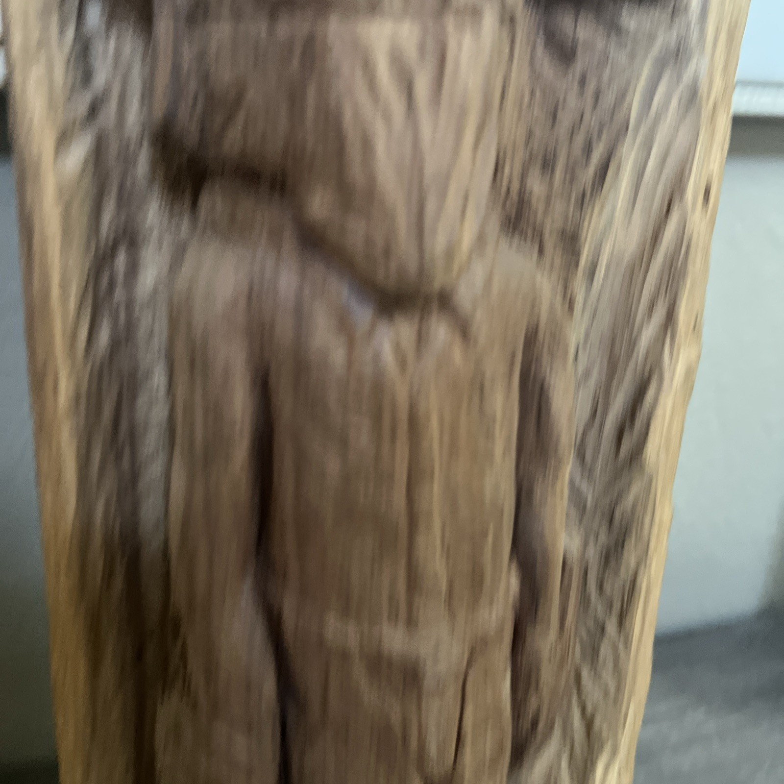Picture 5 of 11
