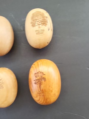 Wooden Eggs W/ Tree Engraving Spalted Beech, Wild Cherry, Scots Pine, Crab Apple