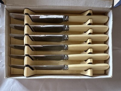 Vintage Lewis Rose Sheffield Stainless Steel Table Knives Set 6 Ivory Boxed