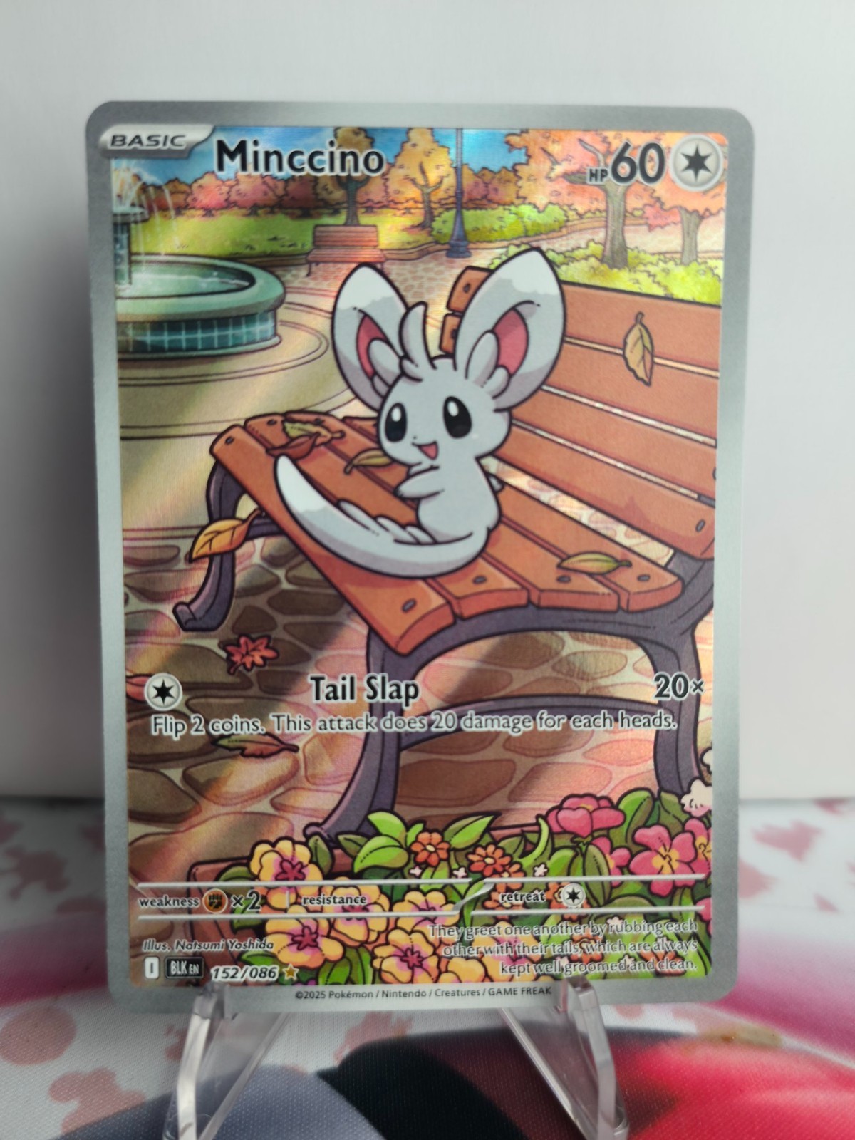 Pokemon Minccino 152/086 Black Bolt Illustration Rare