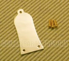 TRC-EGM 1 Gold Metal EPI Style Guitar Truss Rod Cover Plate w/Screws