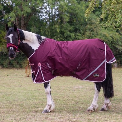 Galopp Trojan Xtra Duraproof 200G mittelschwer 1200 Denier Pferdeweidedecke