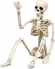 Halloween Skeleton Decorations, 16" Plastic Full Body Posable Skeleton, Small Ha