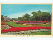 Pre-1980 LINKIN PARK FLOWER GARDENS Chicago Illinois IL c8581