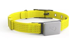 Whistle Switch GPS + Health + Fitness Smart Dog Collar XS/S