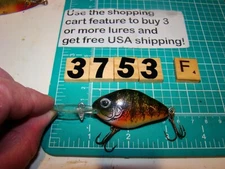 V3753 F NATURAL IKE  FISHING LURE